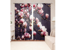 ����001-14058 ��������� "����������� ��������"