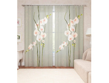 ����001-14057 2.jpg