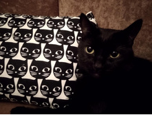 �������� ����� ������ ...