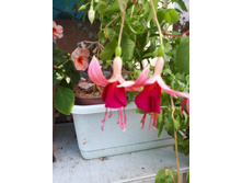 20180701 185545.jpg