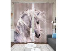 ����001-13535 2.jpg