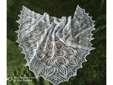 IMG 20190209 094122.jpg