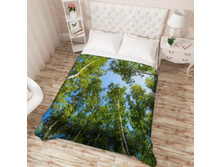 ��������� �������� 13552.jpg