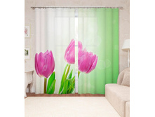 14060 ��������� "�������� ��������"