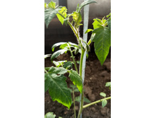 IMG 20190223 112354394 HDR.jpg