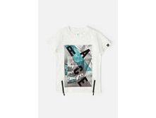 20110110157   Hardi   �����(���).jpg