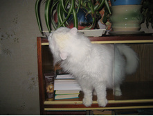 IMG 3965.JPG
