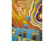 IMG 20190201 174133.jpg