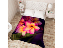 ��������� �������� 14016.jpg