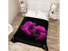 ��������� �������� 14106.jpg