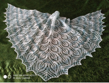 IMG 20190209 092035.jpg