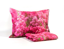 ����008-13586 1.jpg