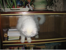 IMG 3964.JPG