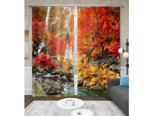 ����001-13548 2.jpg