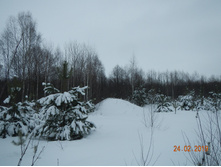 DSCN8275.JPG