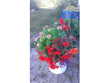 20170810 164334.jpg