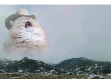 ��-�-�-�-�-���!!!!