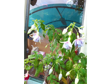 20180713 085506.jpg