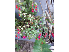 20180625 175256.jpg