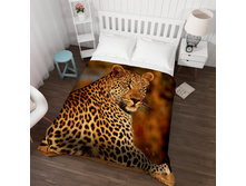 ��������� �������� 13532.jpg