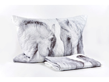 ����008-13526 1.jpg