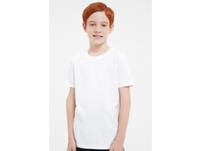 10110110003 �����.jpg