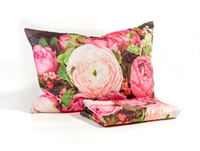 ����008-13584 1.jpg