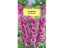 Delfinium astolat mini4.png