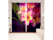 ����001-14016 2.jpg