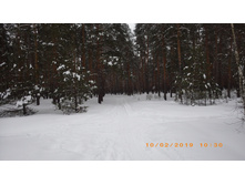 06.JPG