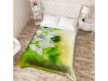 14007 ��������� �������� "������ ������", ����