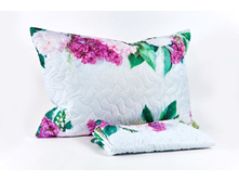 ����008-14096 1.jpg