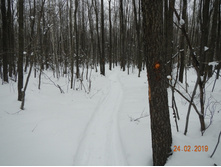 DSCN8259.JPG