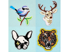 ������� �����  ����������� �����(6)-----------28���.jpg