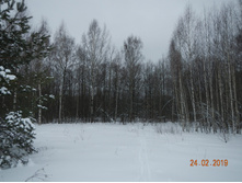 DSCN8276.JPG