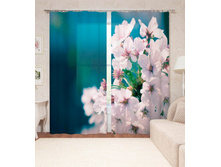 14042 ��������� "�������� ����"