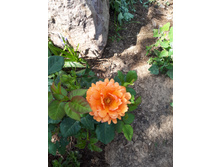 20180624 130019.jpg