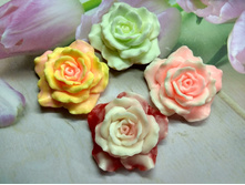 ���� ����