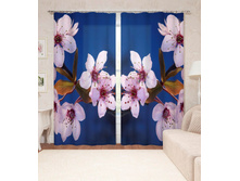 ����001-14292 2.jpg