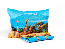 ����008-13528 1.jpg