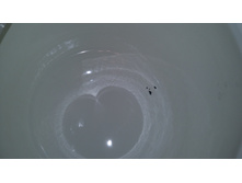 20190225 001911.jpg