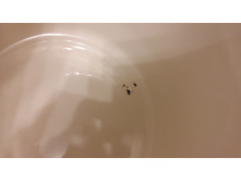 20190225 001920.jpg