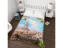 ����005-13494 ��������� �������� "��������� ����"