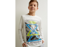 20110100174   Levit   �����.jpg