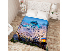 ��������� �������� 03406.jpg