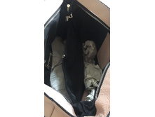 IMG-20190208-WA0106.jpg