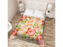 ��������� �������� 13507.jpg