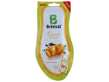 ������������� ���� ��� ����� ���������� ��������-121�+%