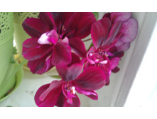 20150713 154629.jpg