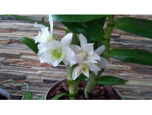 IMG 20190217 085027.jpg